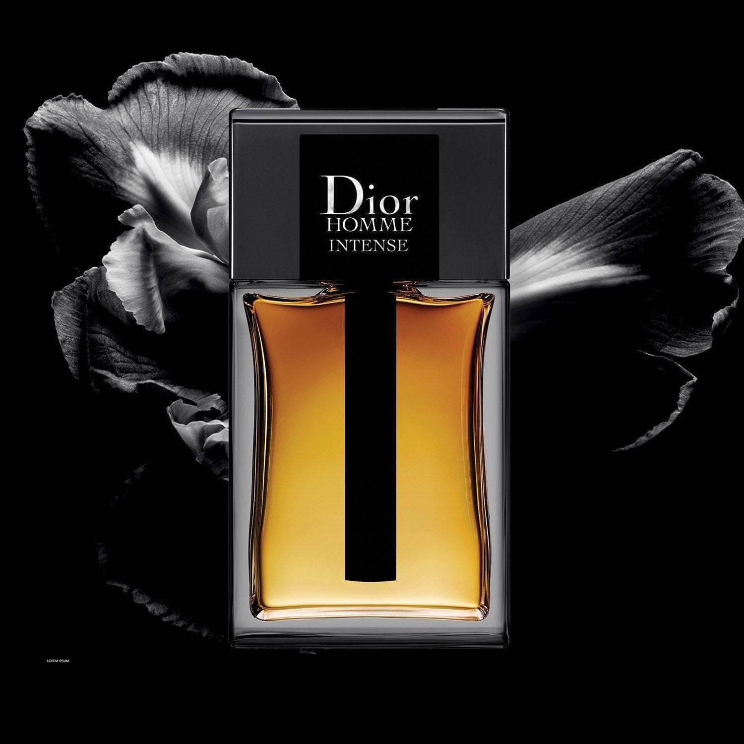 Dior Homme Intense  - Eau de parfum 100ml